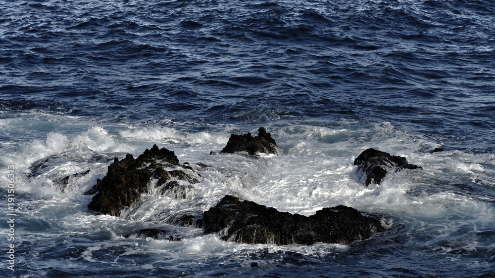 la Palma la Palma