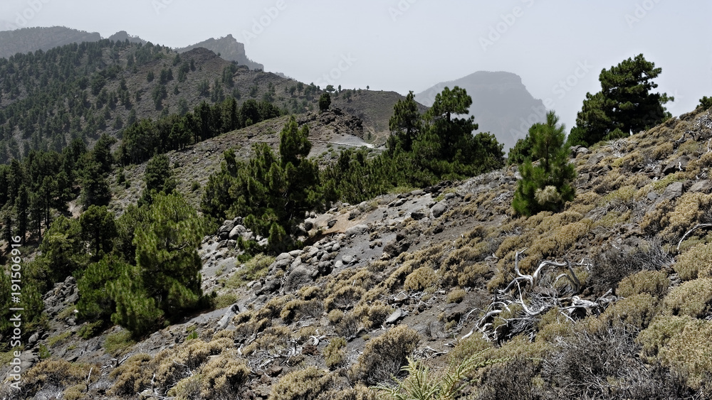 la Palma la Palma