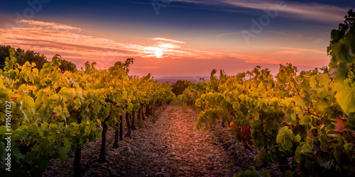 Sonnenuntergang im provenzalischem Weingut
