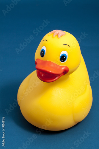 Yellow plastick duck isolated on a blue background © Andrew Gardner