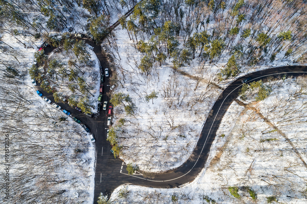 Aerial view of curvy road