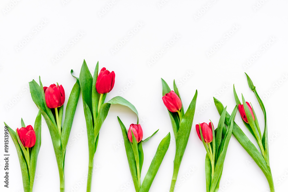 Bright red tulips for spring bouquet on white background top view copy space Bright red tulips for spring bouquet on white background top view copy space