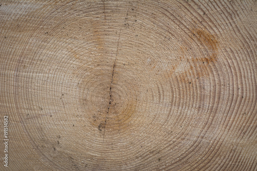 Holz Struktur - Hintergrund rustikal