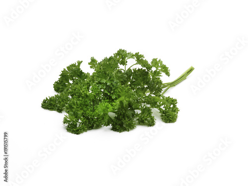 curley leaf parsley