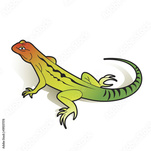 colorful chameleon vector drawing