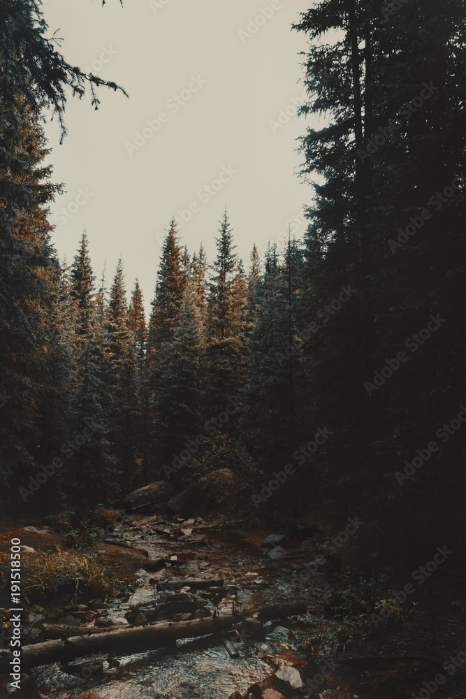 Obraz premium Evergolden