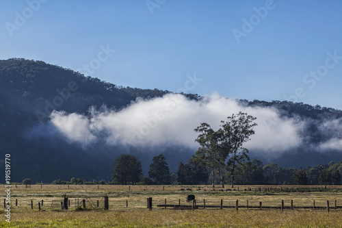 Rural landscape, Wauchope, New South Wales, Australia photo