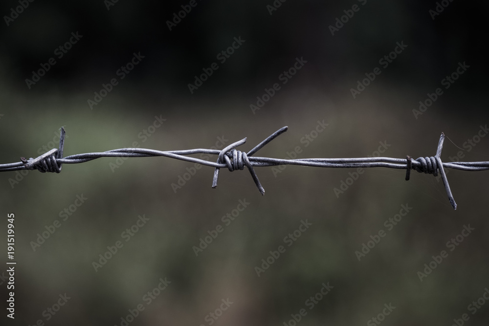 barbed wire fence