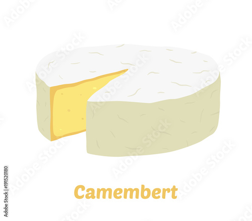 Vector camembert cheese block. Slice, chunk. Cartoon flat style.