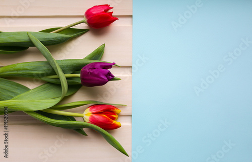 Fototapeta Naklejka Na Ścianę i Meble -  Three tulips on wooden background and blue paper. Perfect invitation for mother's day or international women's day. Minimalist bright flower background for advert or promotion.