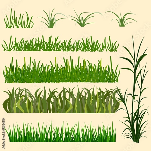  set of field grass of different species
