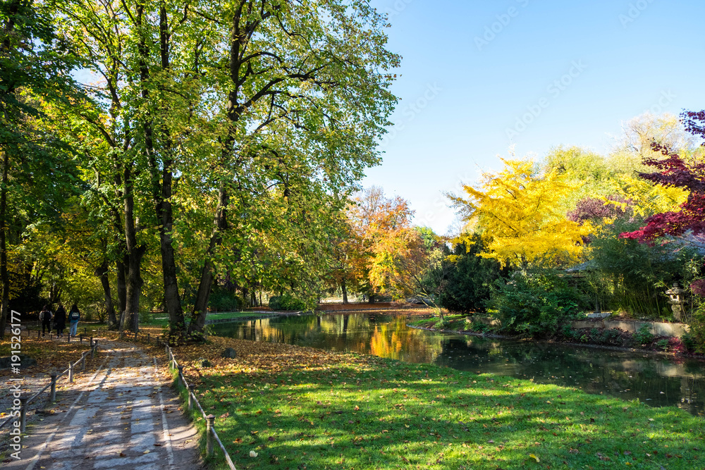 English Garden during colorful autumn in Munich, Germany. English Garden during colorful autumn in Munich, Germany.