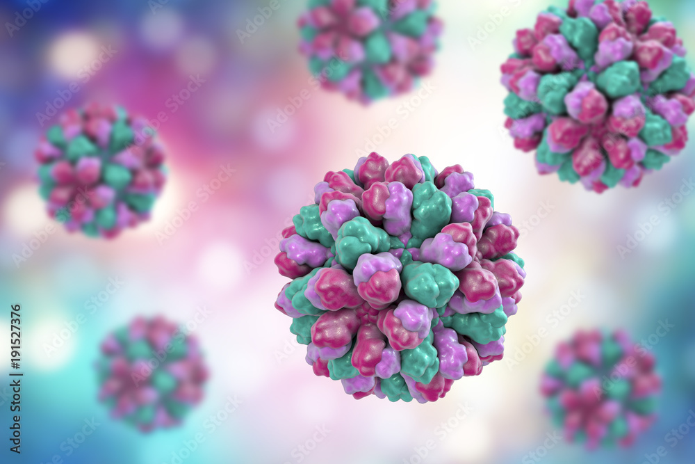 Norovirus, Norwalk virus, also called winter vomiting bug, RNA virus