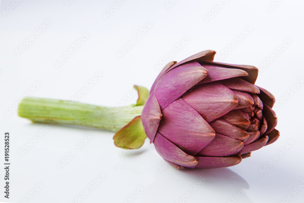 Obraz premium Artichoke