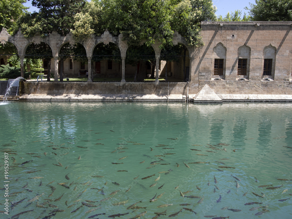 Halil-ur Rahman Mosque and Holy lake Sanliurfa, Turkey