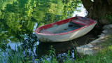 Boat on the river in green nature