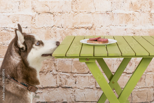 Husk's dog steals a piece of sausage from the table in secret from the owners.