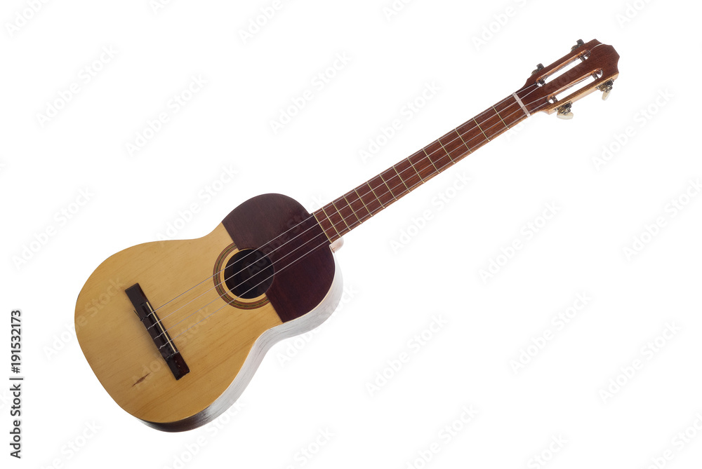 four-string musical instrument
