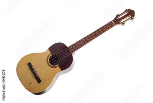 four-string musical instrument photo