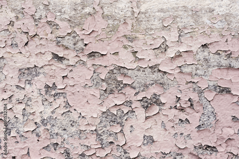 Pink paint coating with cracks on a dirty gray stone. Peeling pink paint Grunge Pink paint coating with cracks on a dirty gray stone. Peeling pink paint Grunge