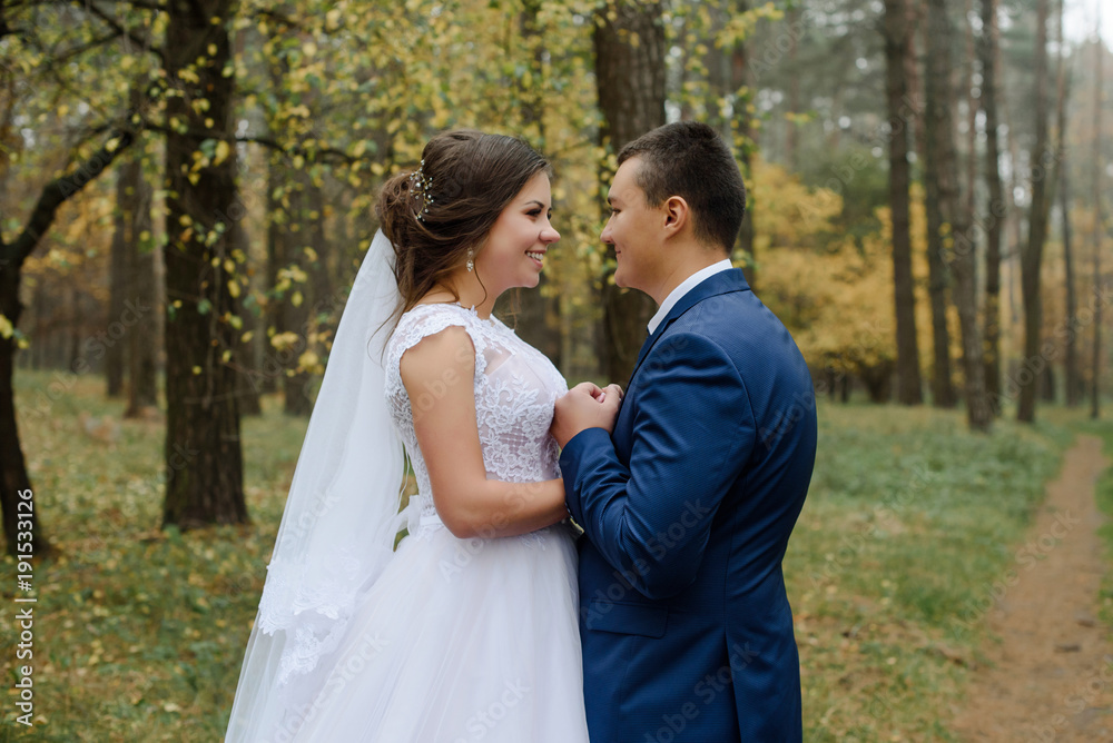 Bride and groom in a park kissing.couple newlyweds bride and groom at a wedding in nature green forest photo portrait.Wedding Couple Bride and groom in a park kissing.couple newlyweds bride and groom at a wedding in nature green forest photo portrait.Wedding Couple