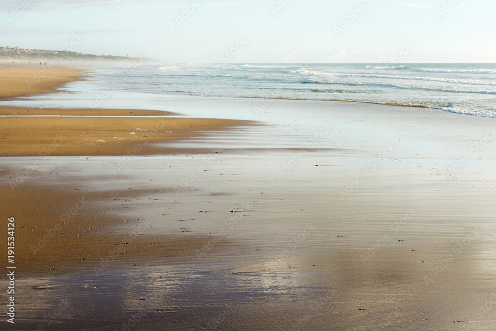 foggy beach in winter