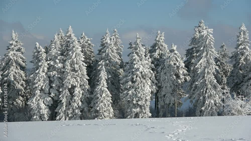 Winterwald mit Schnee auf der wasserkuppe, Rhön, Fichten, Schwenk, Panorama, Winterstimmung, Naturerlebnis, 4K Winterwald mit Schnee auf der wasserkuppe, Rhön, Fichten, Schwenk, Panorama, Winterstimmung, Naturerlebnis, 4K