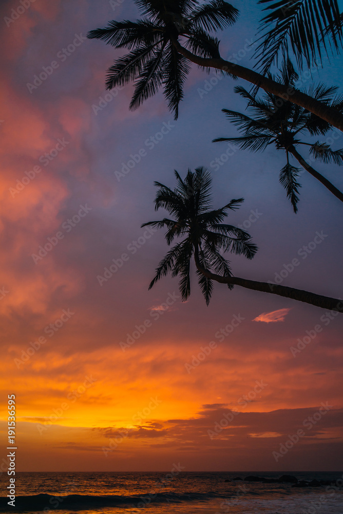 beautiful sunset over the ocean with silhouettes of palms