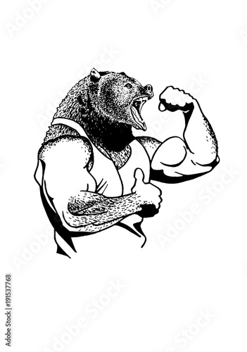 Graphical grizzly bear with muscles isolated on white background,sport icon,vector