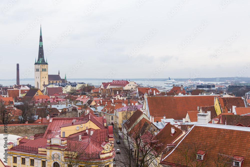 Fototapeta premium Tallinn, Panorama of the city from Toopmea hill.