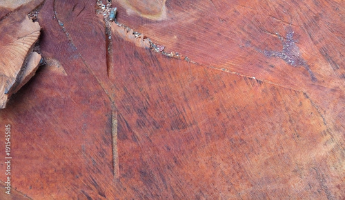 Texture of a freshly choppe...