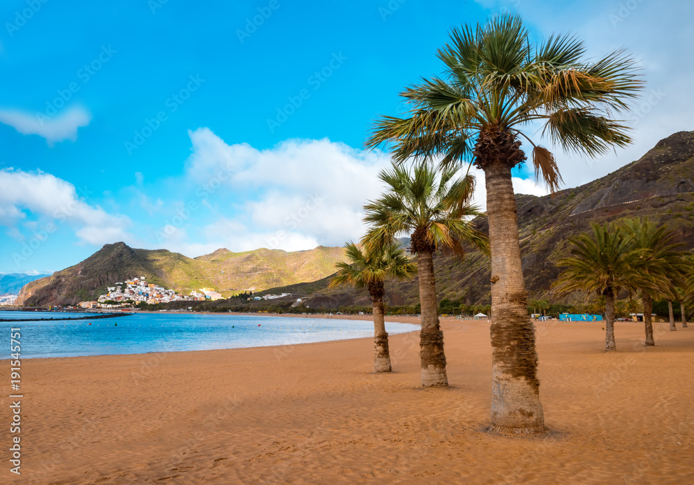 palm trees Playa de las Teresitas Beach, Tenerife