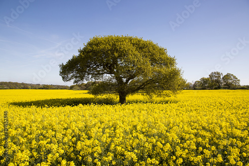 Nature and Agriculture