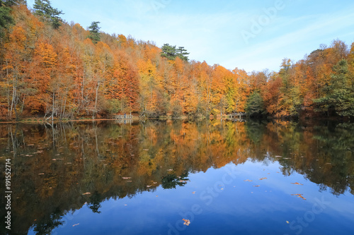 Buyuk Lake in Yedigoller National Park, Turkey