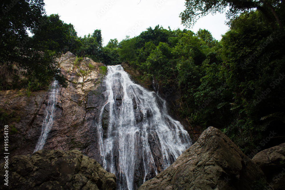 Obraz premium Waterfall in the Forest