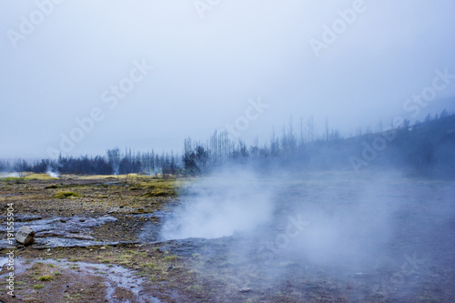 Steaming Geyser Field in Iceland's Golden Circle