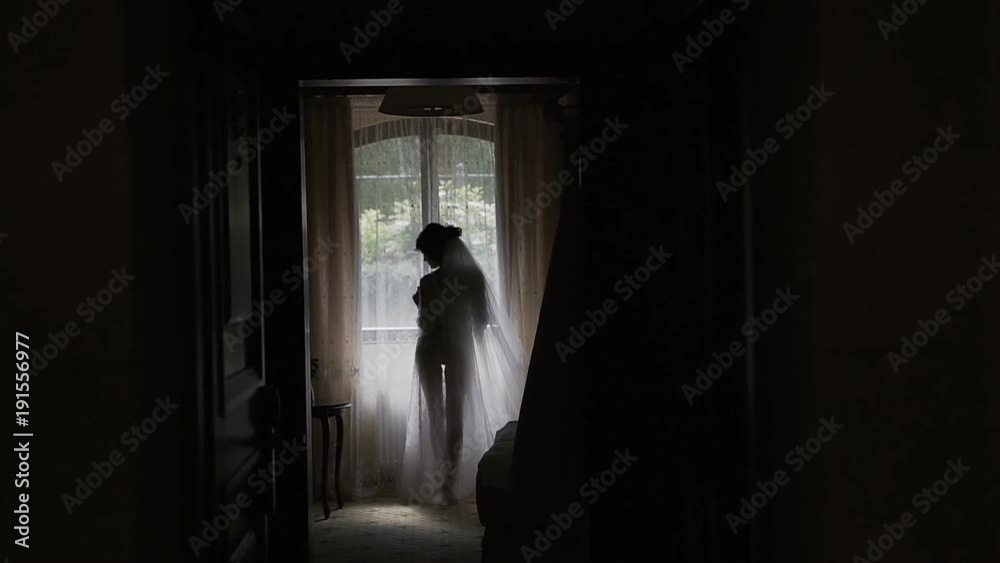 Sexy bride in a white lace robe stands near beautiful window. Luxury apartments. Wedding day Sexy bride in a white lace robe stands near beautiful window. Luxury apartments. Wedding day