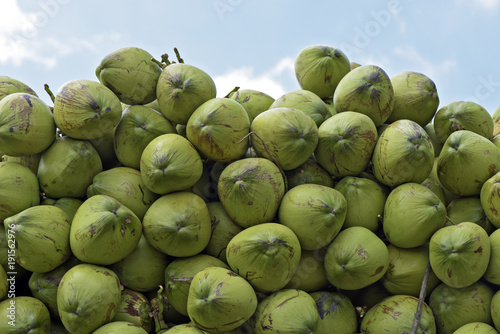Closeup of pile of coconuts