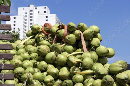 Pile of coconuts in truck bodywork