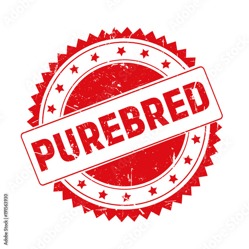 Purebred red grunge stamp isolated