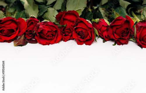 Close up of flatlay with red roses on top of image on white background and copy space for individual message for Valentine s Day as symbol and gift for love and affection