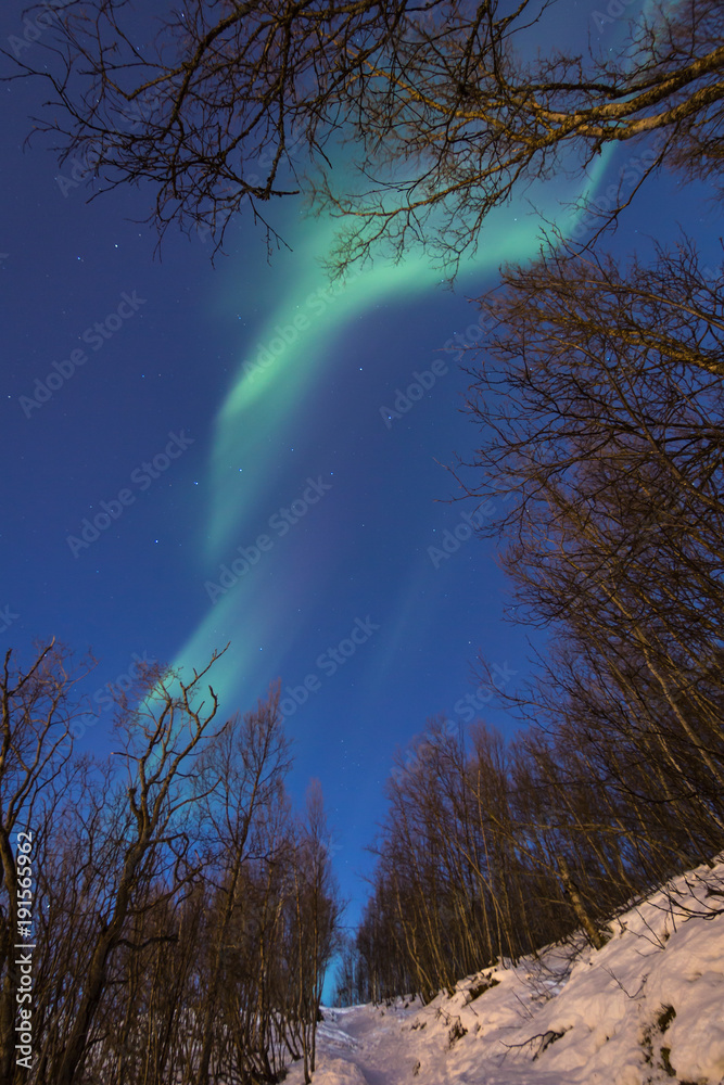Fototapeta premium Northern lights on the sky high in mountains of Tromso