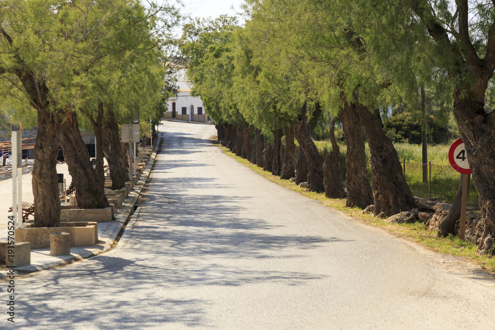 Europe, Spain, Balearic Islands, Mallorca. Porto Colom. Main road to harbor.