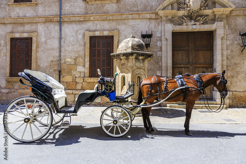 Europe, Spain, Balearic Islands, Mallorca. Palma horse carriage. Rides for Tourists.