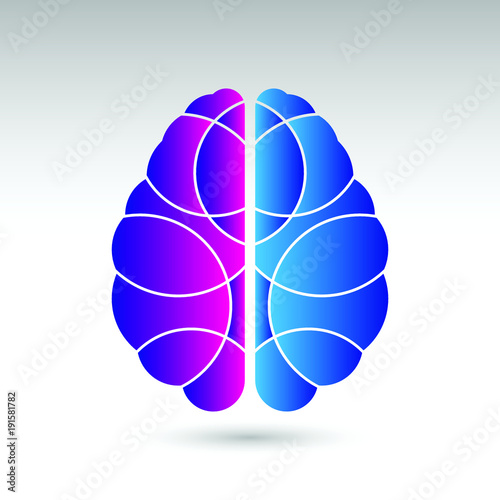 A simple vector illustration of a human brain from a top down view. This brain icon is divided into the left and right sections using two different colors.