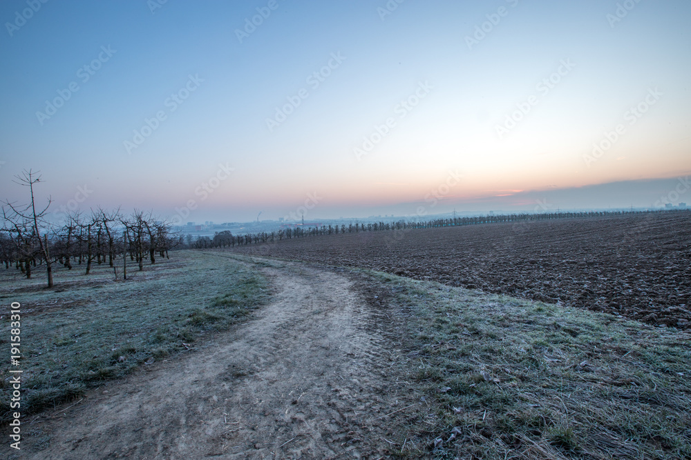 Wintermorgen in den Feldern Rheinhessens