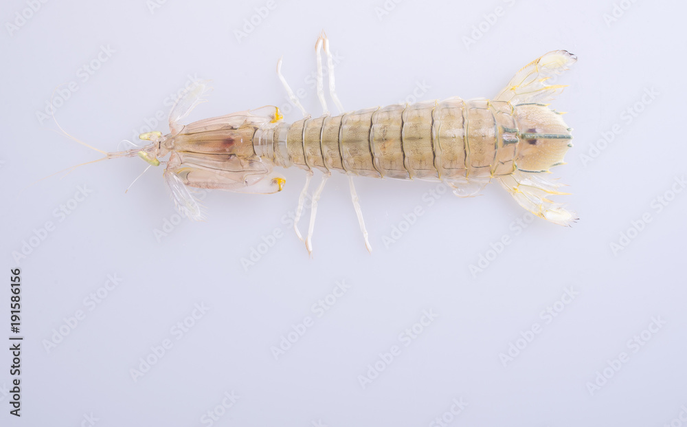 shrimp or raw mantis shrimp on the background. shrimp or raw mantis shrimp on the background.