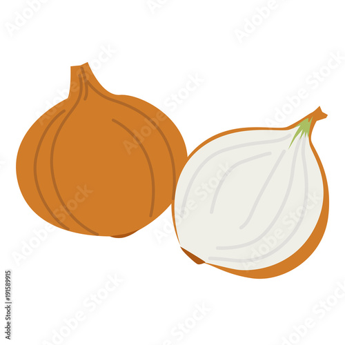 Illustration of onions.