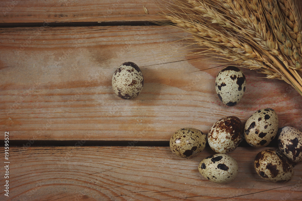 Quail eggs lie on the boards next to the wheat spikelets Quail eggs lie on the boards next to the wheat spikelets
