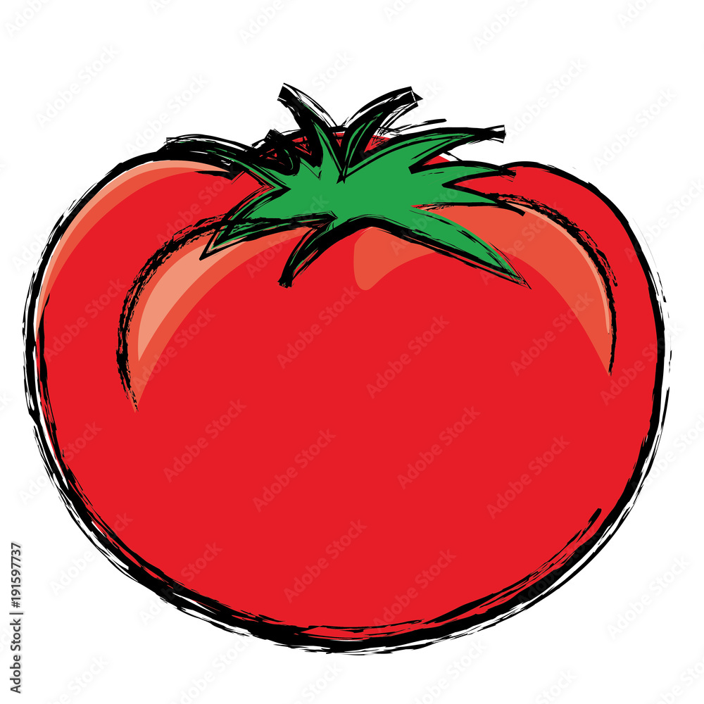 トマトのイラスト Tomato 手描き風イラスト 墨絵 ベクターデータ Stock Vector Adobe Stock